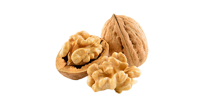noci