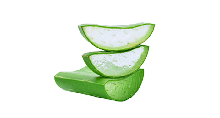 aloe