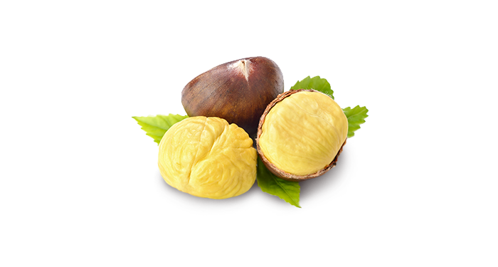castagne