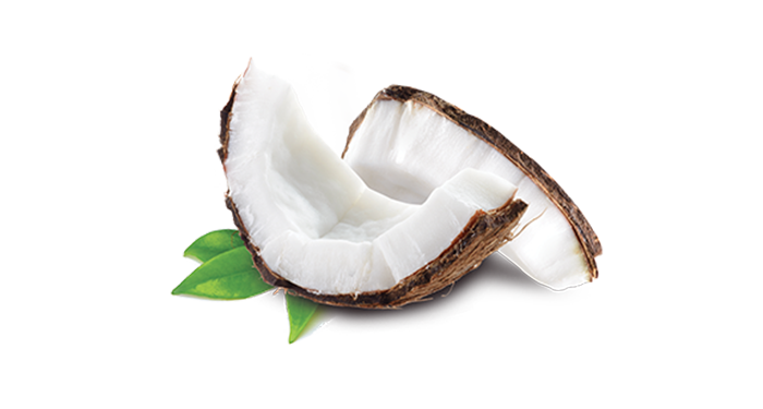 cocco