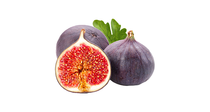 fichi