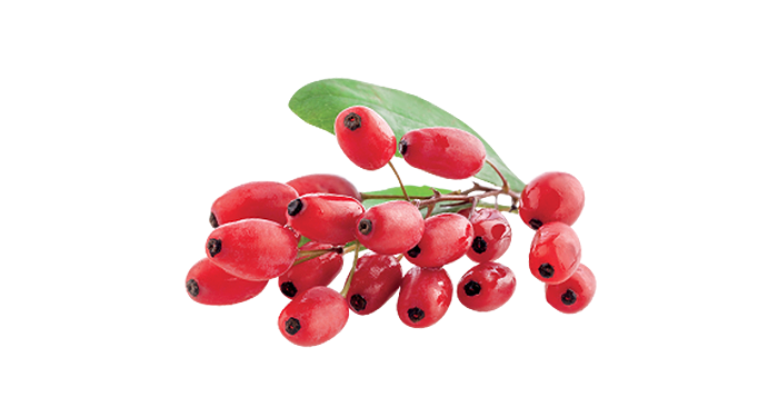 bacche-di-goji