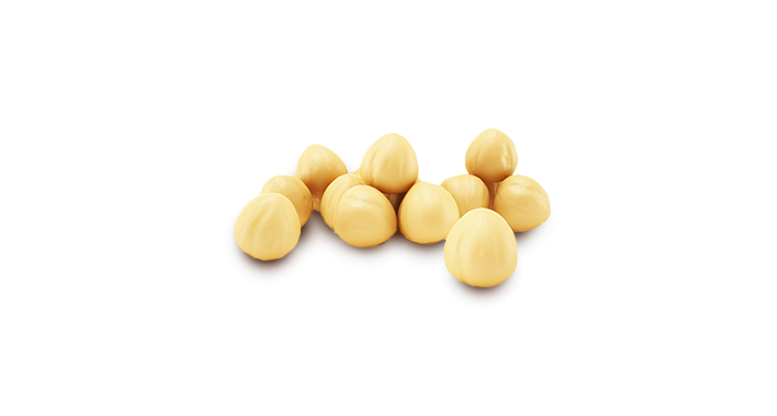 macadamia