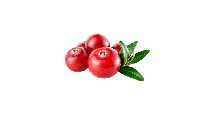 cranberry