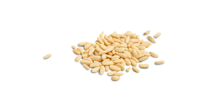 pinoli
