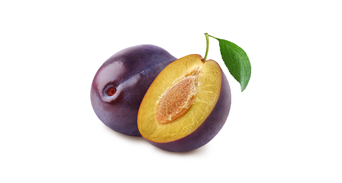 prugne