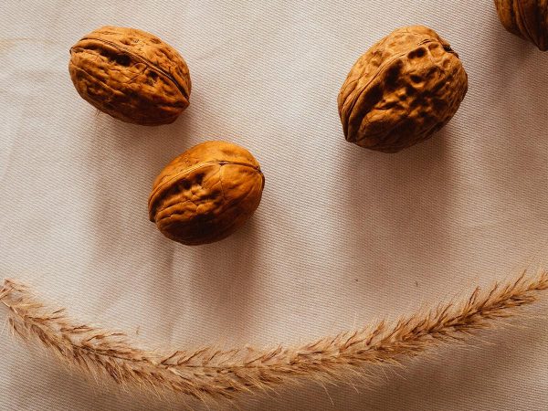 Frutta Secca e colesterolo: effetti, quantità e consigli